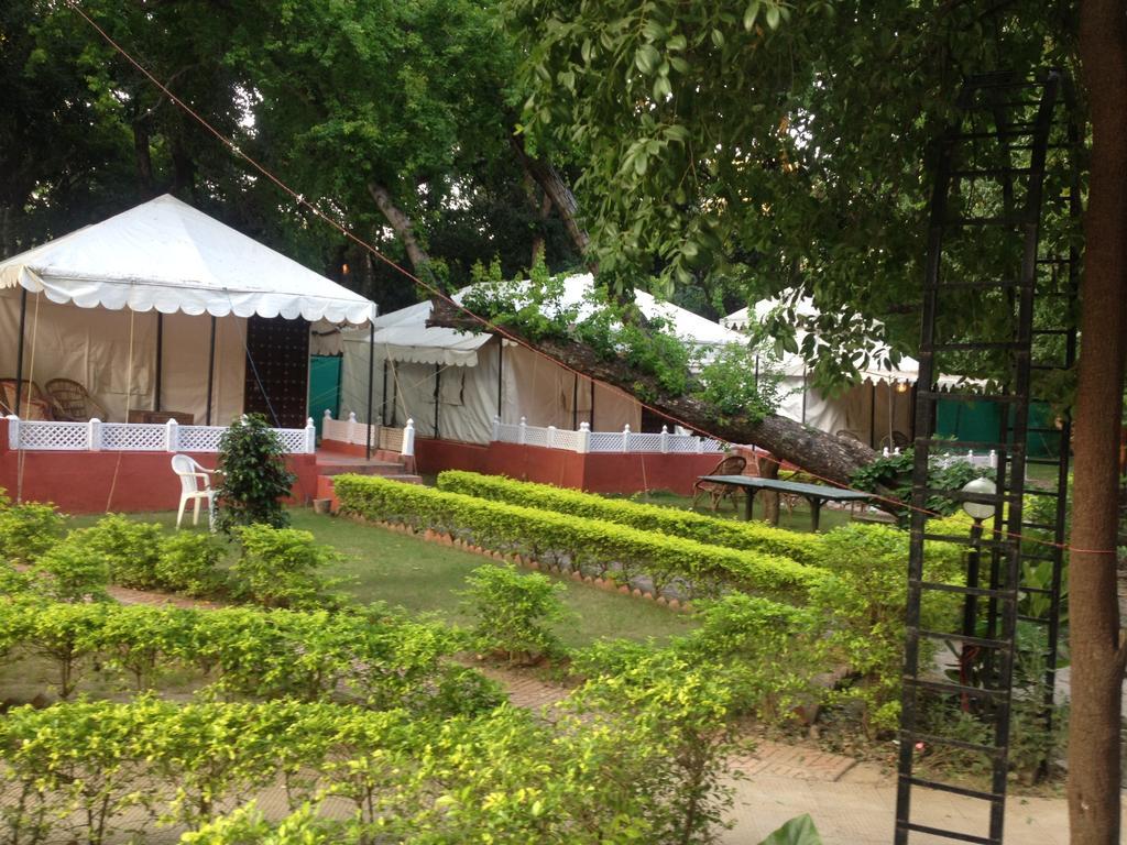 The Aravali Tent Resort Udaipur Oda fotoğraf